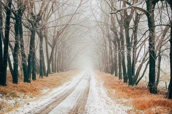 Are snow bicycle tires worth it?