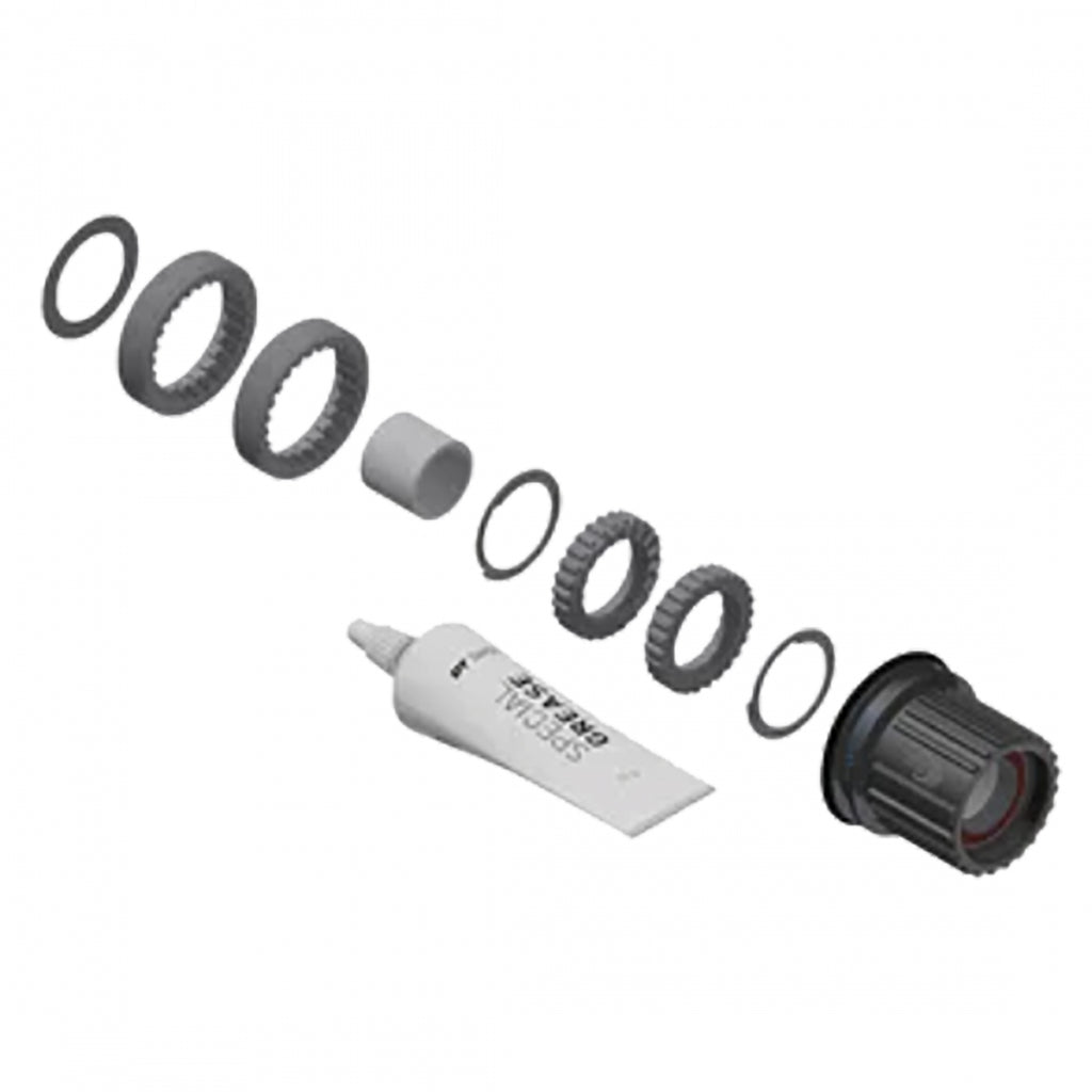 DT UPGRADE KIT 3-PAWL TO RATCHET LN STEEL 18T MICROSPLINE