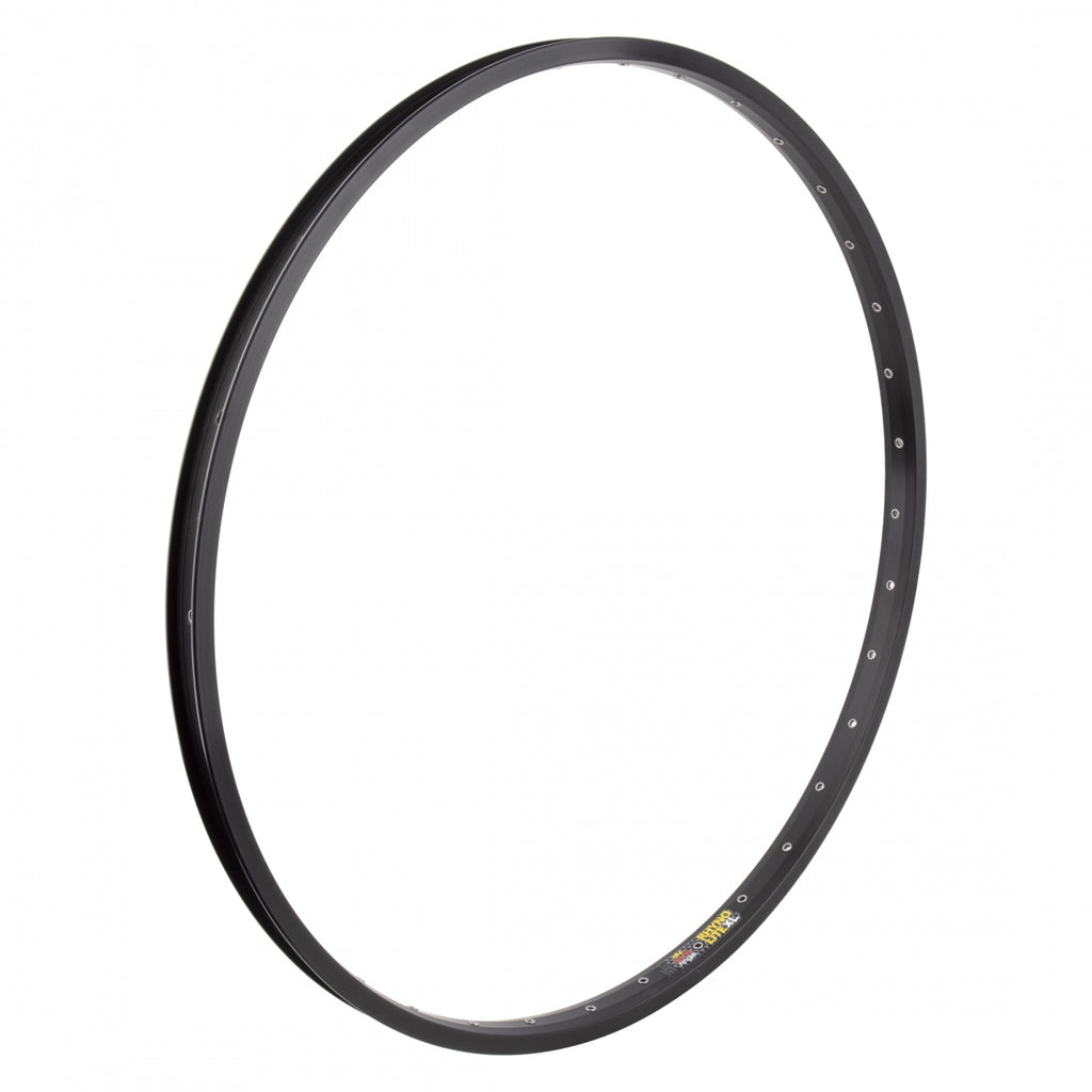 SUNRINGLE 29 622x23.5 RHYNO LITE XL 36 BK/NMSW EYE SV