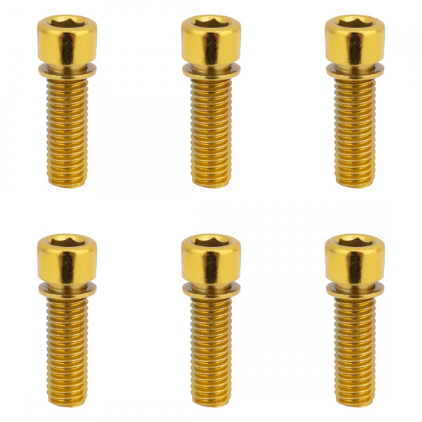 TSC HOLLOW SETof6 GOLD