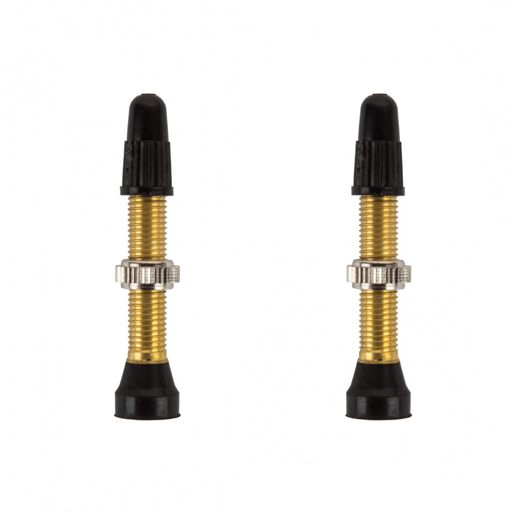 WTB PV 34mm STANDARD GOLD TCS