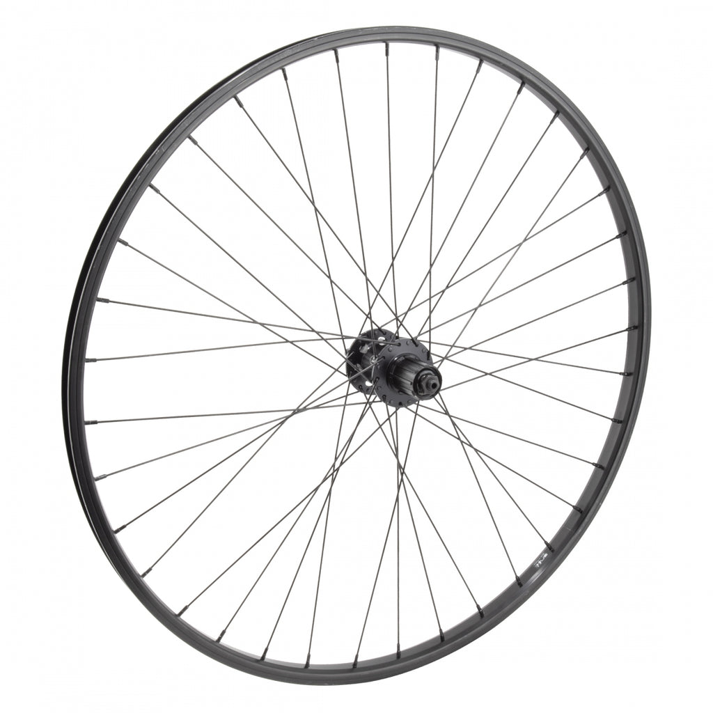 REAR 29 622x19 ALLOY BLACK MSW 36 ALLOY 8-10sCAS 6B QR BLACK 135mm 14gBK