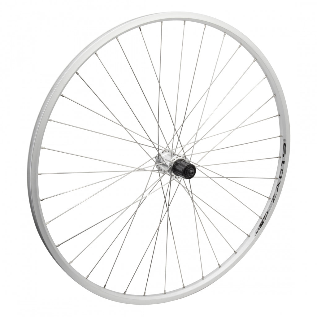 REAR 700x35 622x19 WEI ZAC19 SILVER 36 WHEEL MASTER MT5010 8-10sCAS QR SILVER 135mm SS2.0SL