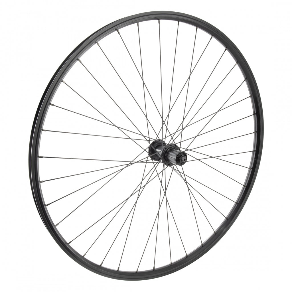 REAR 700 622x20 WTB DUAL DUTY BLACK NMSW 36 SHIMANO T4000 8-10sCAS QR BLACK 135mm DTI2.0BK